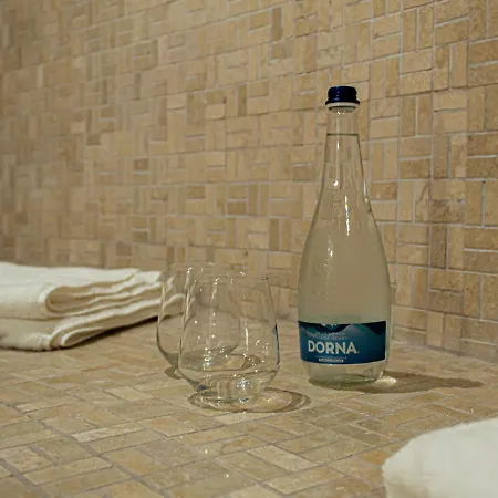 Guest house Victoria Moldovita