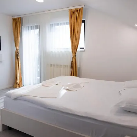 Guest house Victoria Moldovita